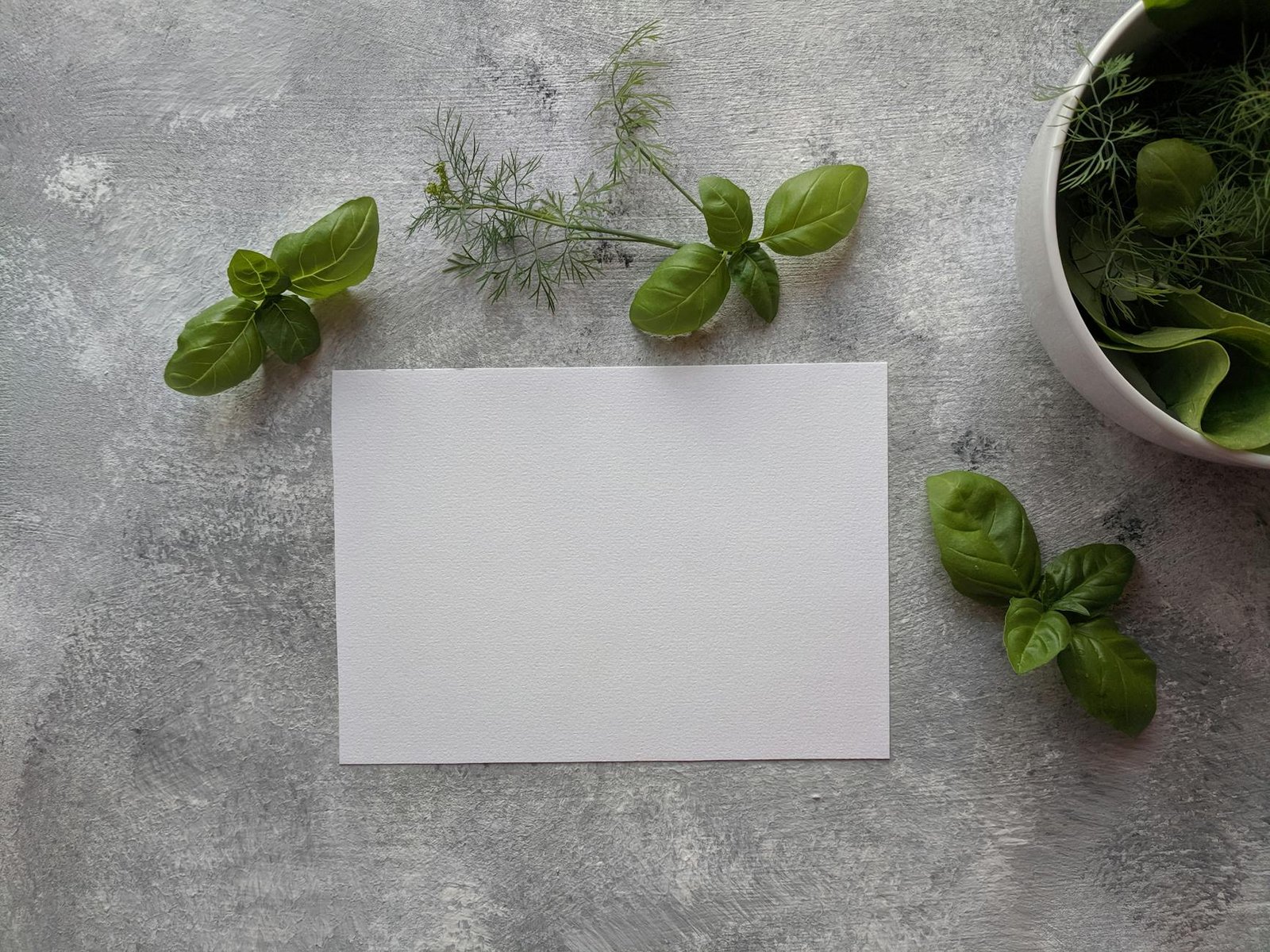 como conservar cheiro-verde com solução prática e econômica para casa