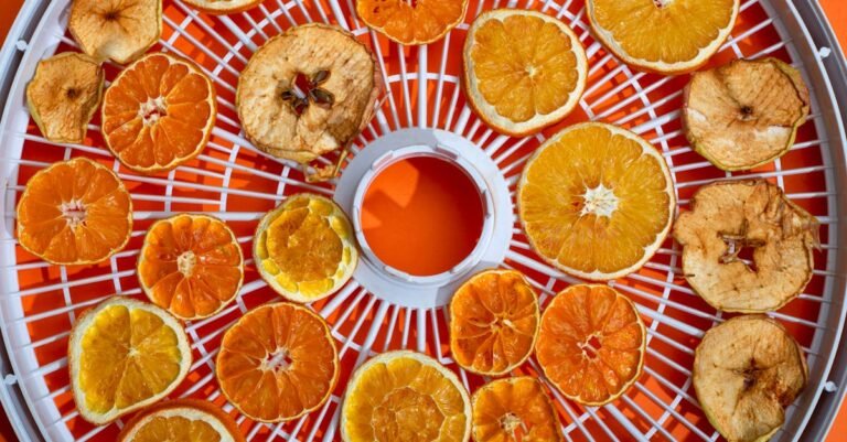 Como Desidratar Alimentos em Casa: Guia Completo para Economizar 70% e Conservar Por Meses