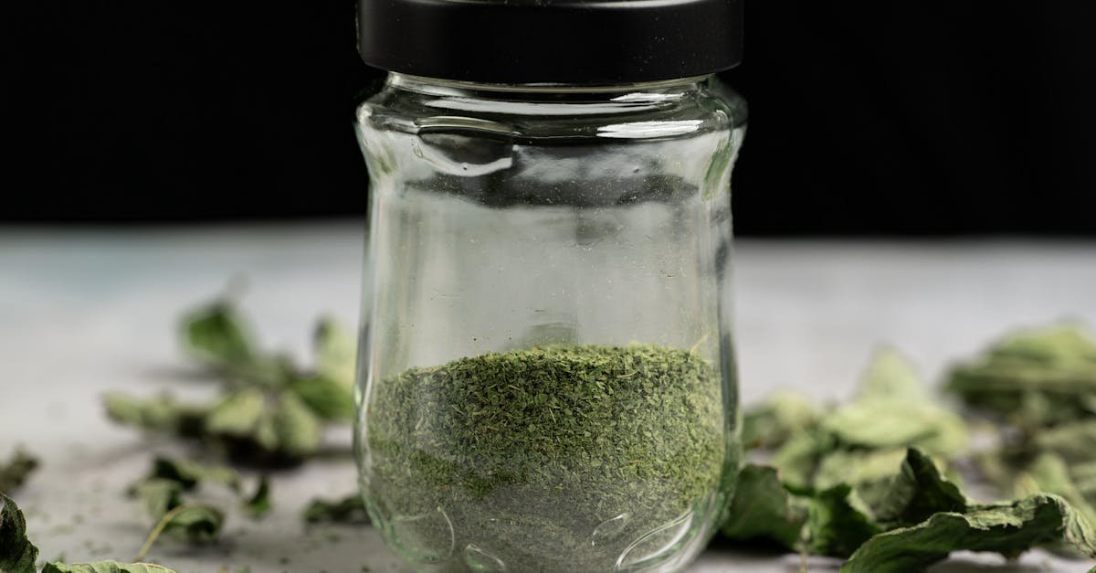 Ervas desidratadas em processo de secagem natural na cozinha