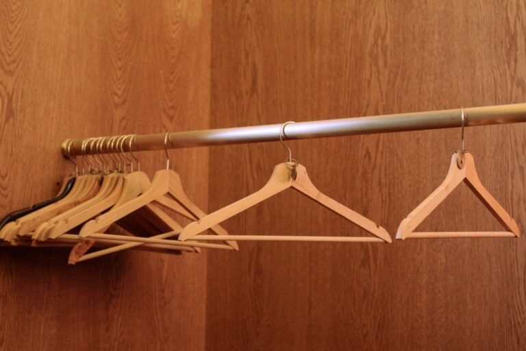 Como Organizar Guarda-Roupa do Zero: O Guia Completo para um Closet Funcional e Sem Bagunca