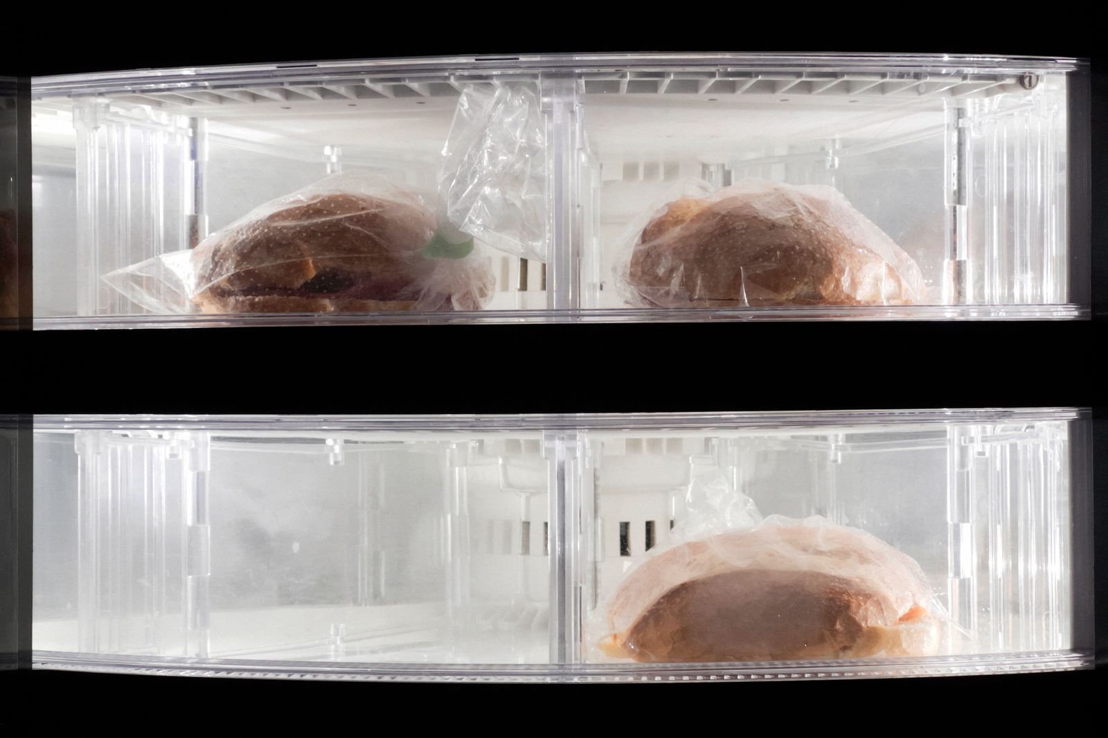Freezer com compartimentos transparentes organizando alimentos congelados