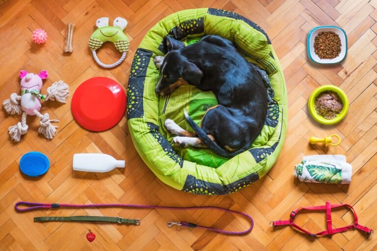Sala de estar organizada com brinquedos, potes de ração e acessórios de pet guardados em locais específicos e arrumados