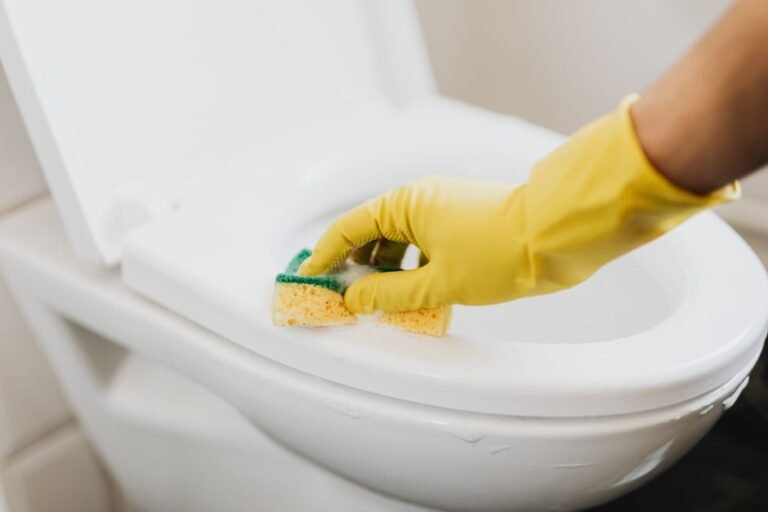 Vaso sanitário branco e limpo após limpeza profunda com produtos caseiros naturais