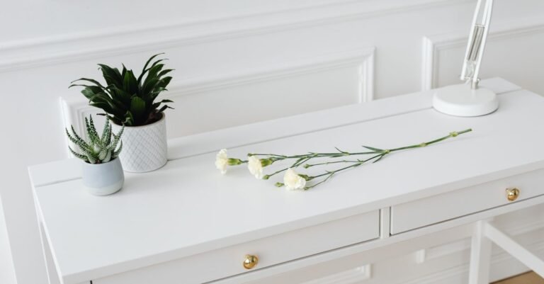 Como Organizar o Home Office em Casa: Guia Completo Para Aumentar a Produtividade e Acabar com a Bagunça