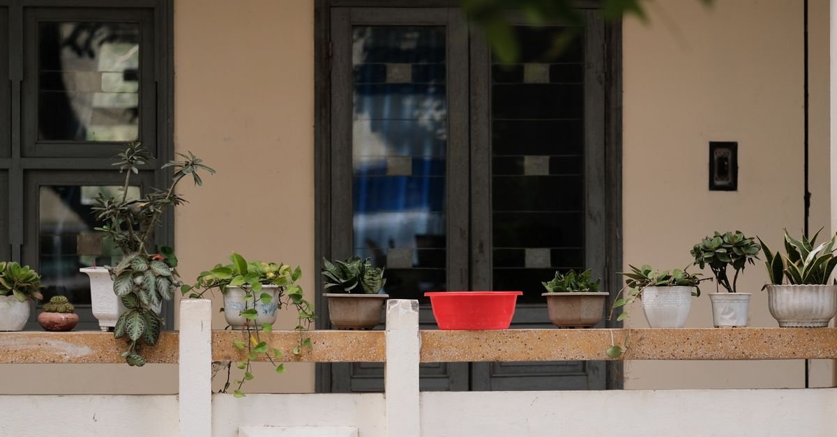 Vasos de suculentas e plantas organizados na grade de uma sacada